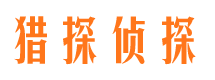 登封市调查公司